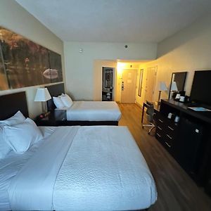 Double Room Two Double Beds Non-Smoking
